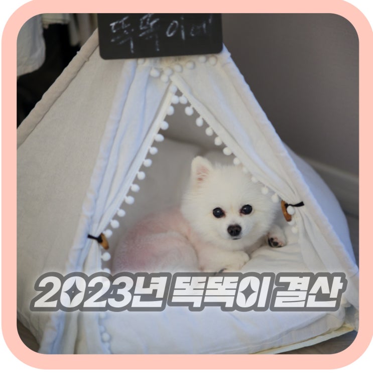  2023년 똑똑이의 10대 뉴스
