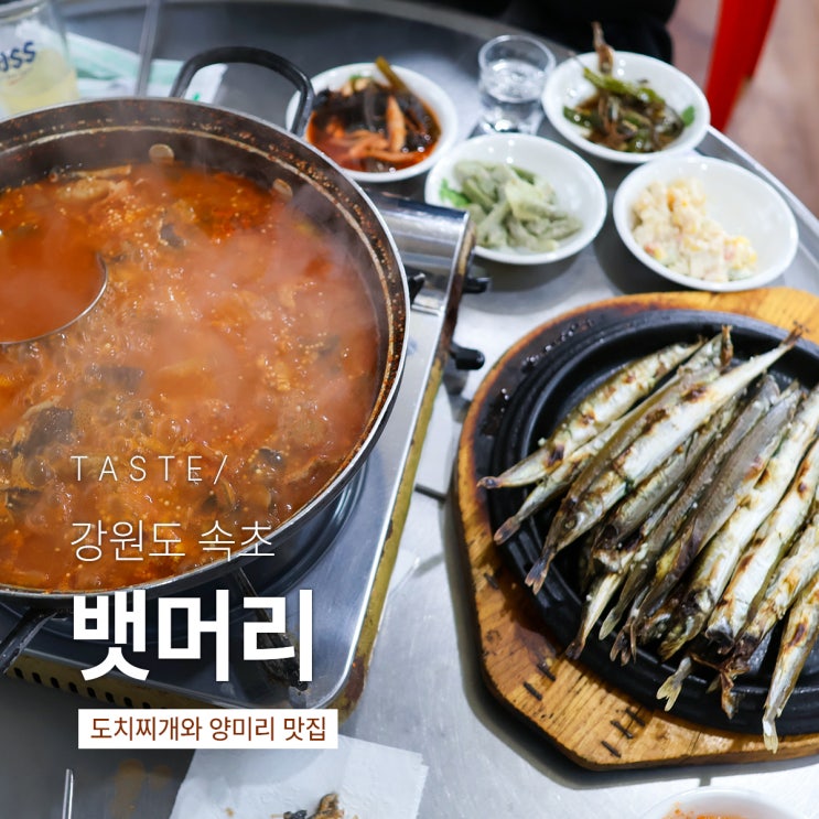  속초 포장마차 도치 알탕과 양미리 구이의 조합 '뱃머리야식'