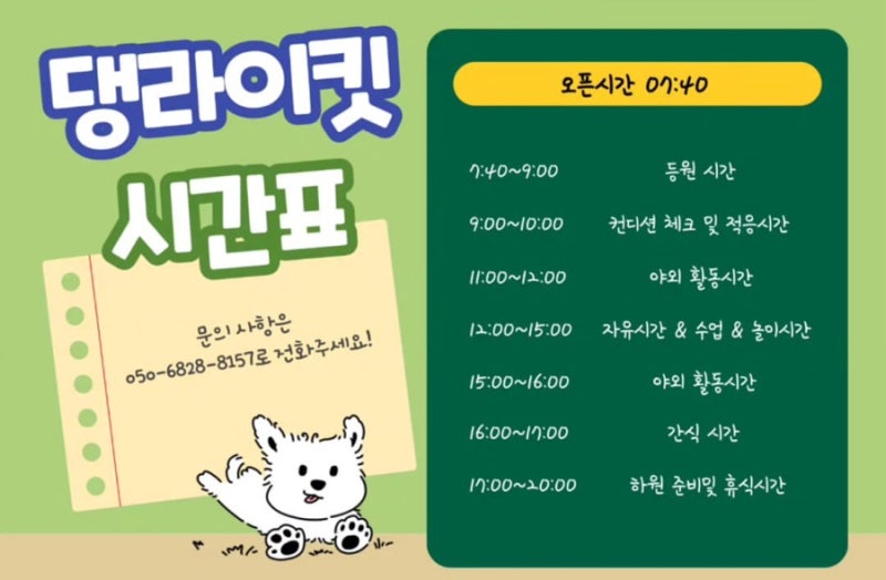 사진 5