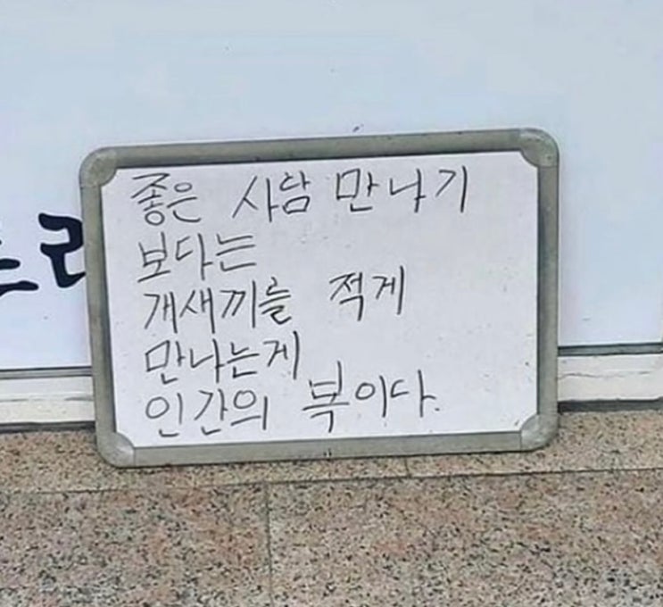 2023년은 가고 2024년 청룡의해야 여의주를 물어 내품에 던지거라!!! 2023년은 가고 2024년 청룡의해야 여의주를 물어 내품에 던지거라!!!