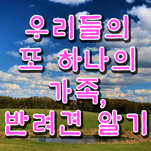  반려동물 관리사 취업 진로 핵심 정보 !!!