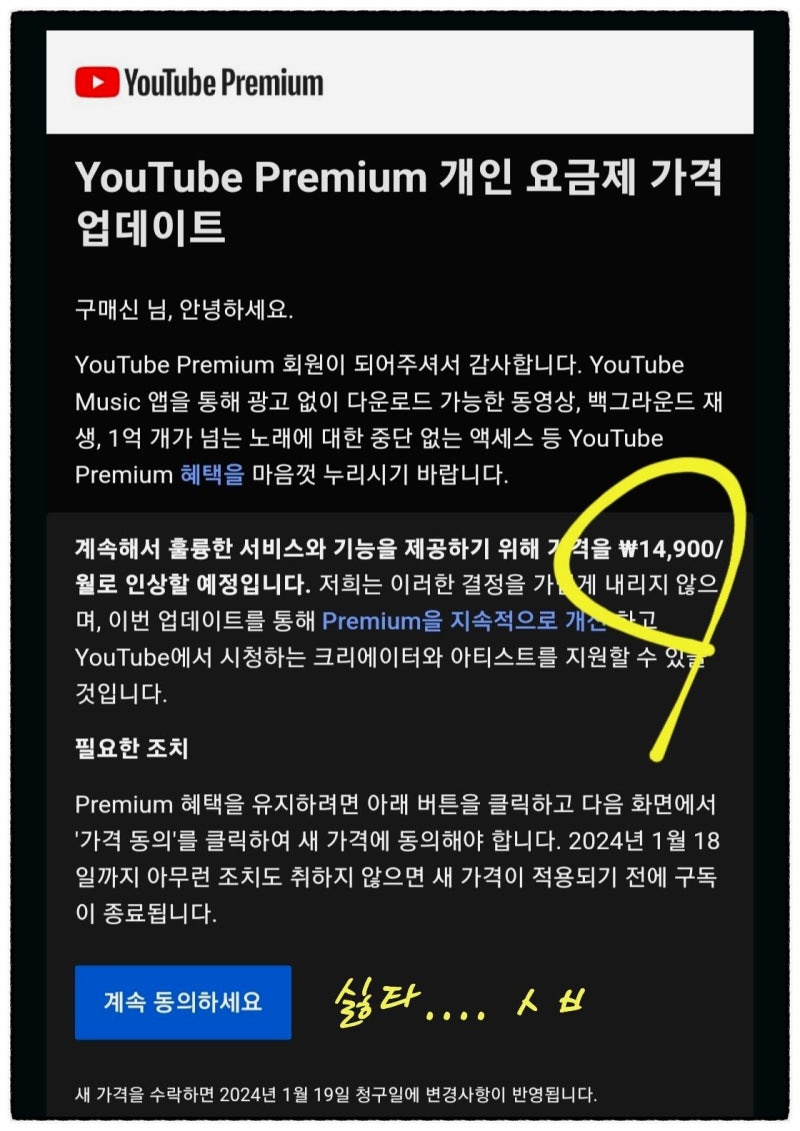 유튜브 프리미엄 가격, 저렴하게 이용하는 방법과 꿀팁 : 네이버 블로그