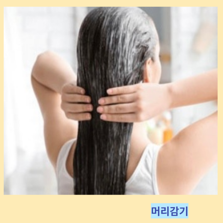 식초로 머리감기 마요네즈헤어팩 코코넛오일 헤어팩 효능 및 제대로 하는 방법 식초로 머리감기 마요네즈헤어팩 코코넛오일 헤어팩 효능 및 제대로 하는 방법