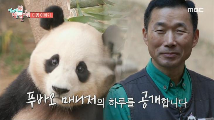 1281일 차 푸바오 매니저 푸바오 <b>강철원</b> 사육사 <b>전참시</b> 등장... 