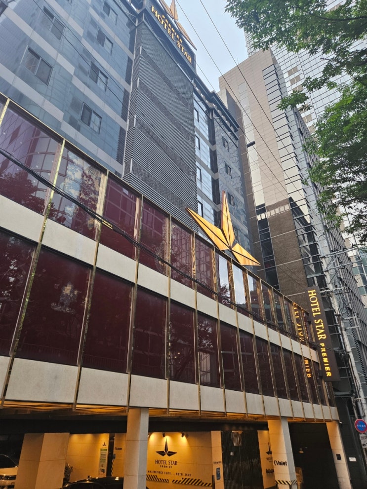  서울 강남 역삼역 호텔 스타 프리미어 역삼 가성비 욕조 있는 숙소