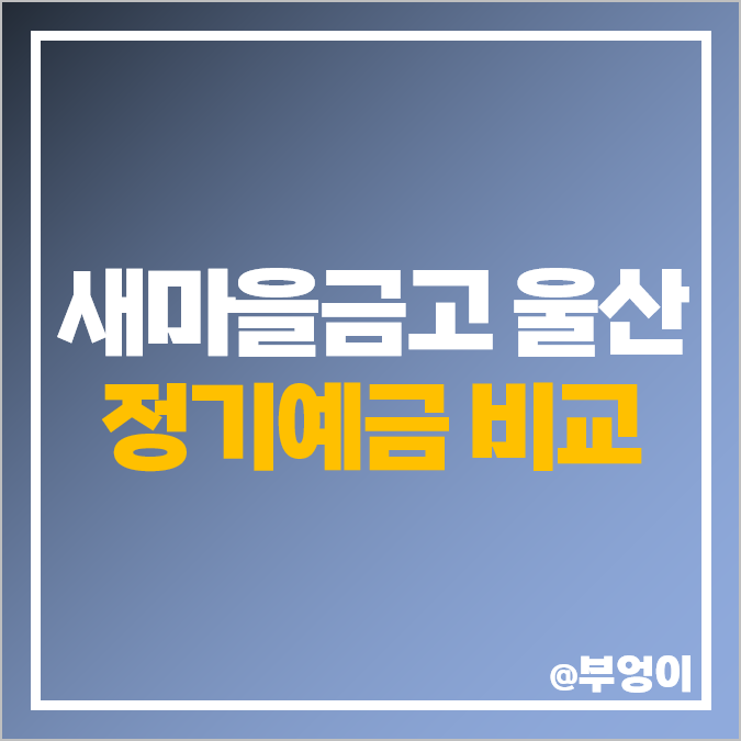 울산 새마을금고 정기예금 금리 비교 이자 높은 특판 추천 울산 새마을금고 정기예금 금리 비교 이자 높은 특판 추천