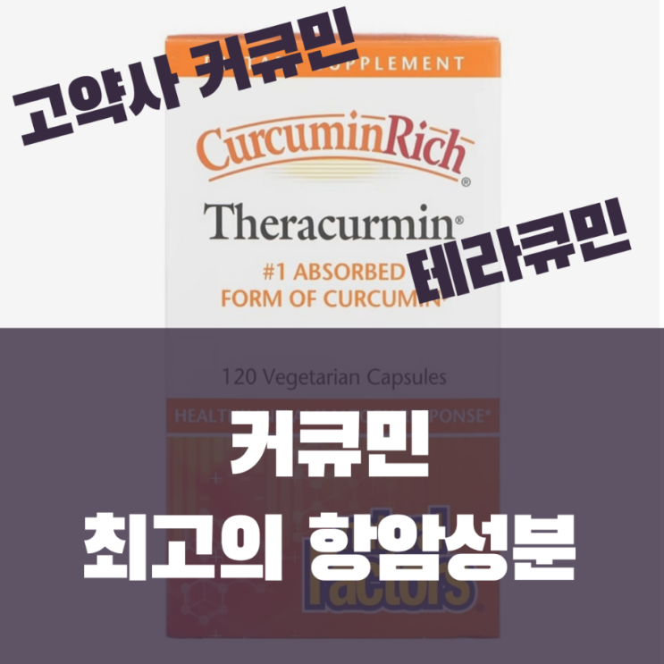  고약사 추천 강황영양제 - 네추럴팩터스 테라큐민 커큐민리치