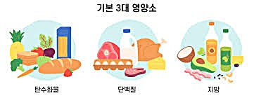  단백질은 탄수화물과 지방에서 만들어질수 있는가