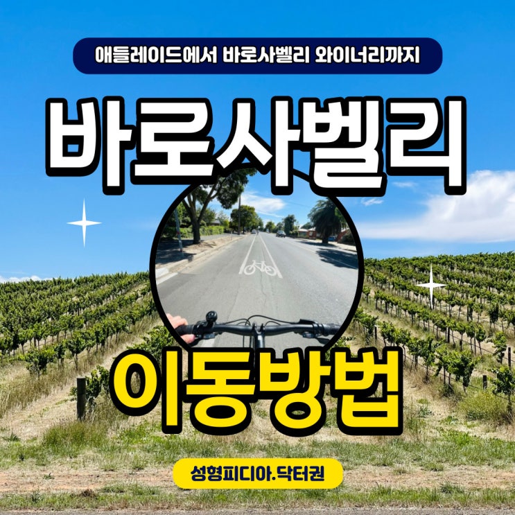  [호주] 바로사 벨리 와이너리 투어 이동방법 (애들레이드 여행)
