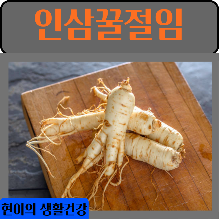  인삼꿀절임 효능 부작용 보관 방법