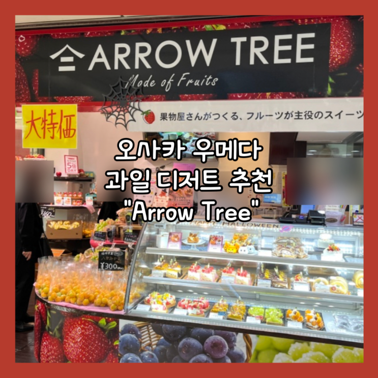  [일본] 오사카 우메다 디저트 생크림 케이크 추천 한큐 선히로바치카도오리  "ARROW TREE" 내돈내산