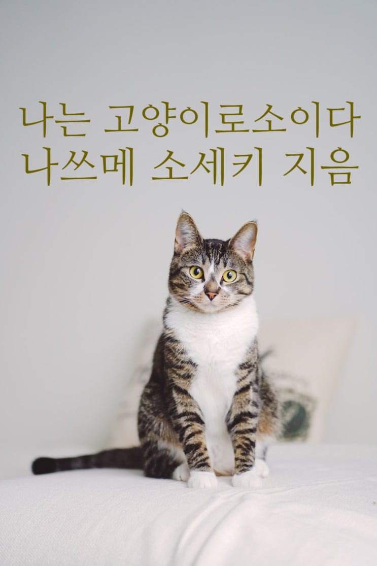 태평해 보이는 사람들도 마음속을 두드려보면 어딘가 모르게 모두 슬픈 소리가 난다 나쓰메 소세키 나는 고양이로소이다