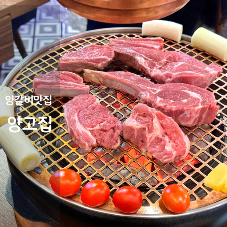  동탄 북광장 맛집 양고집 양고기 양갈비 스테이크