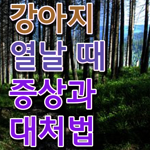  강아지열날때 처치방법 확인해봤나요 ?