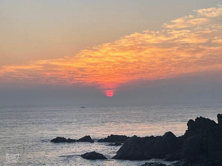  해돋이 일출 명소 유명한 정크아트와 빨간우체통 있는 울산 간절곶 이용정보 주차장