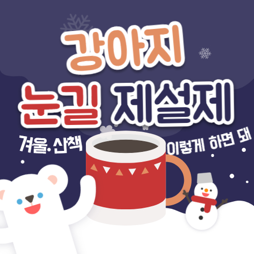  강아지 염화칼슘 밟았을 때, 눈길 산책, 이것만 기억하면 안전해