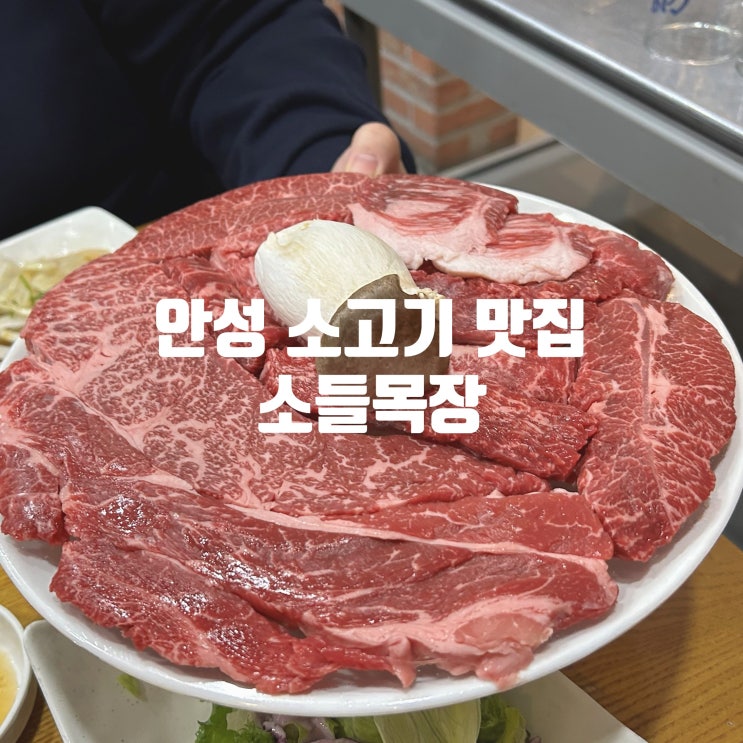  안성 소들목장 소고기 맛집 죽산 회식