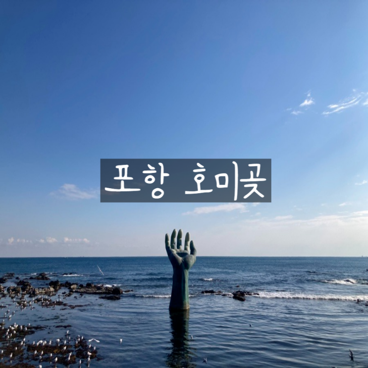  경북 포항 호미곶 해맞이광장 일출 명소 주차장