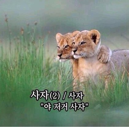  2023년 잘 산 물건들