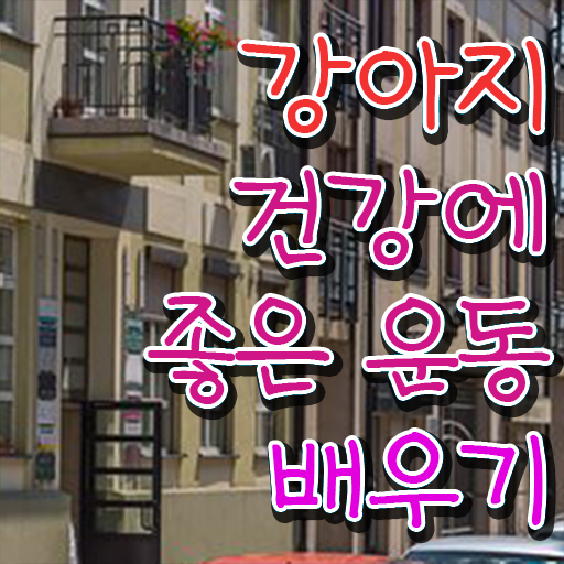 반려견운동지도사 자격증 1급 진로 핵심 공개 !