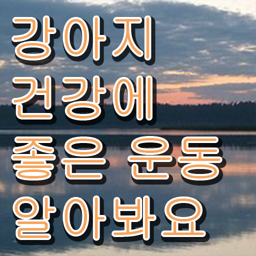  반려견운동지도사 1급 자격증 취득 후기 여기서 확인하고 가세요 !