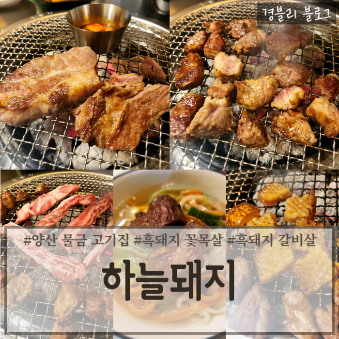  양산 물금 고기집 흑돼지 & 생막창 전문점 (Feat. 껍데기 & 삼색 칼국수 서비스) '하늘돼지'