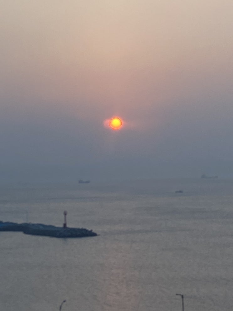  2023년을 뒤돌아보며