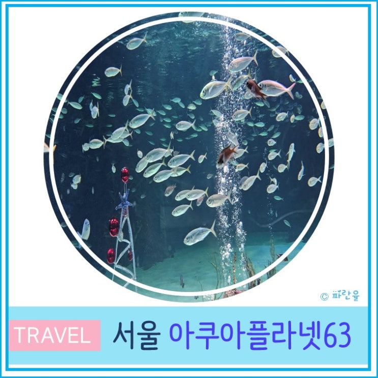  서울여행 데이트 코스 63빌딩 아쿠아리움 아쿠아 플라넷 63 여의도 가볼만한 곳