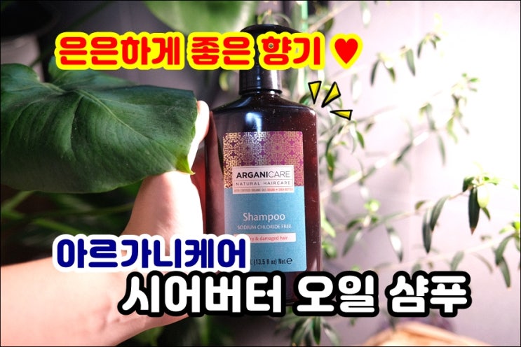  건조한 손상모발용 시어버터 아르가니케어 오일샴푸 약산성샴푸 두피질환 관리해요