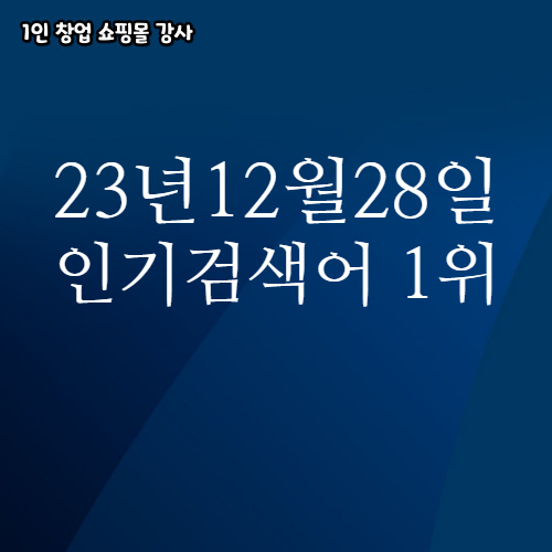  2023년 12월 28일 네이버쇼핑 분야별 인기 검색어 1위