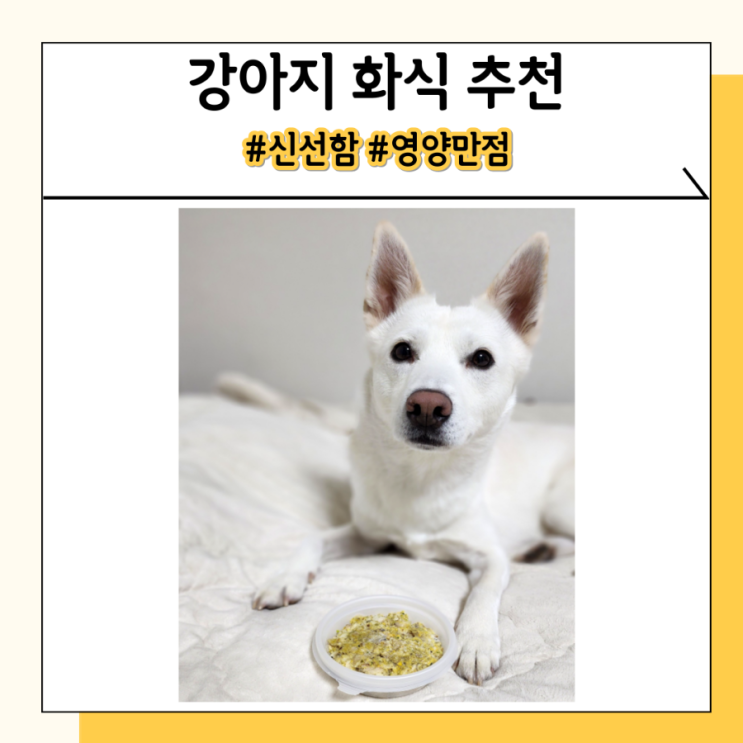강아지 화식 추천 급여량 주문받고 만드는 오밀오밀 강아지 화식 추천 급여량 주문받고 만드는 오밀오밀