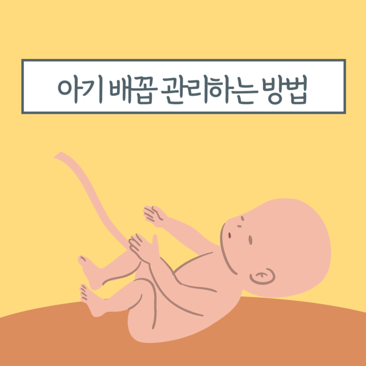 아기 탯줄 떨어지는 시기 제대탈락 후 배꼽 관리하는 방법