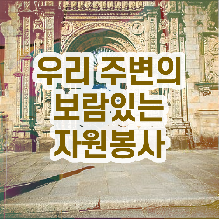  안내견 자원봉사 , 자원봉사지도사 자격증 독학으로 취득한 과정 , 취업 전망