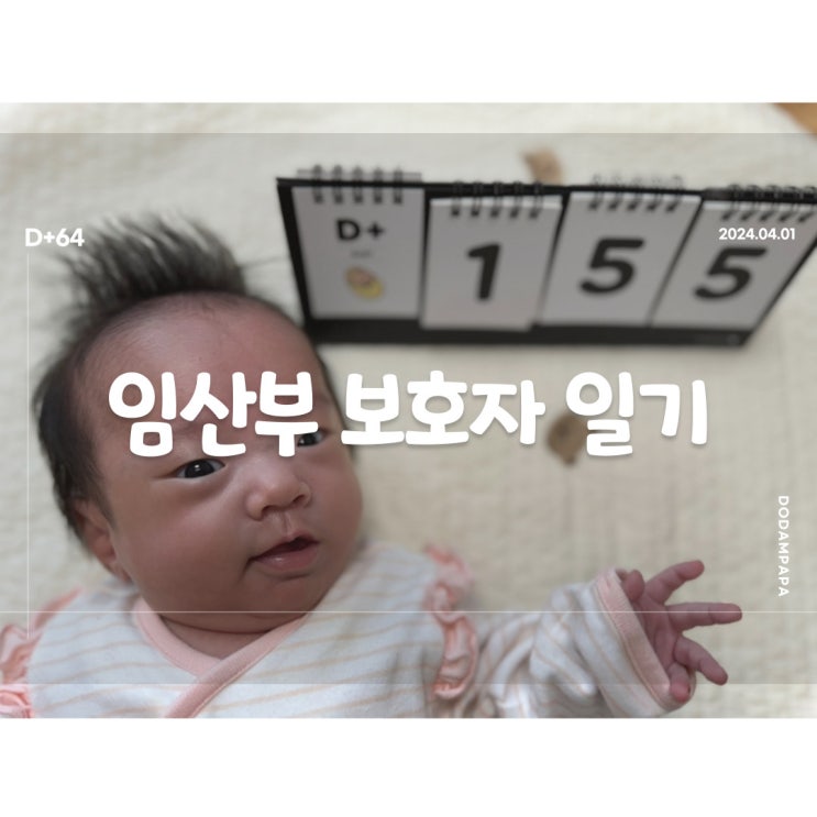 2024.04.01 임산부 보호자 일기 D+64일 2024.04.01 임산부 보호자 일기 D+64일
