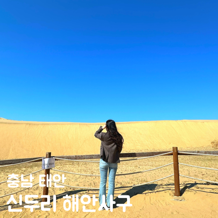  태안 신두리 해안사구 주차 풍경 포토존 여행