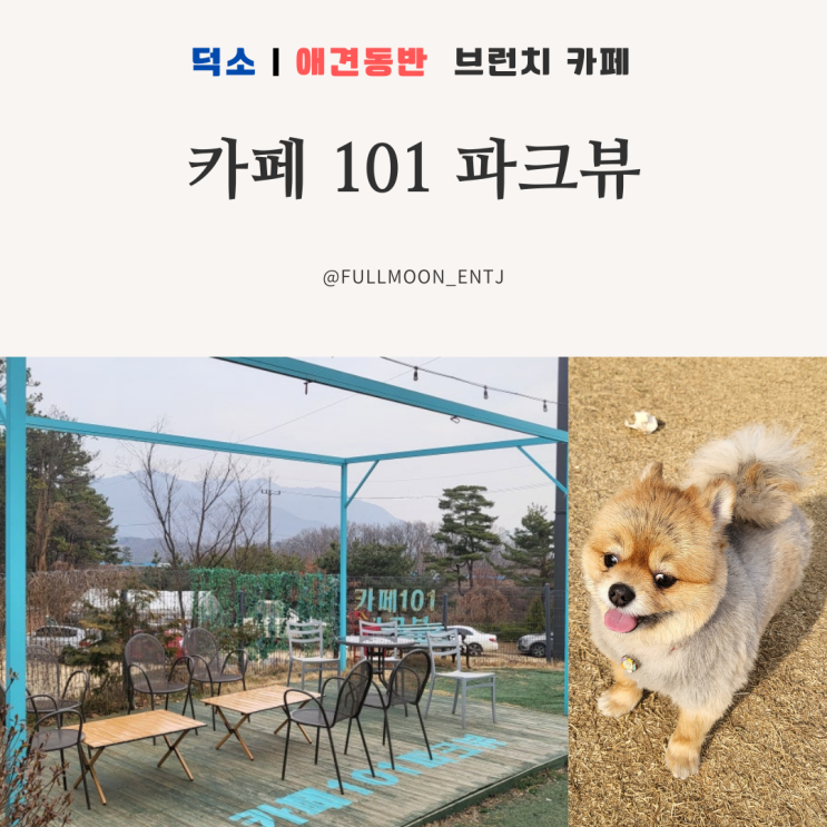  덕소 애견동반 브런치카페 추천 카페101파크뷰