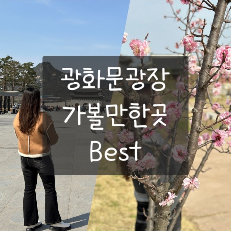  광화문광장 경복궁 벚꽃 포토존 볼거리 가볼만한곳 푸드트럭 행사 정보