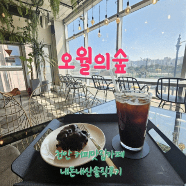  오월의숲 충남천안 커피맛집카페 내돈내산솔직후기