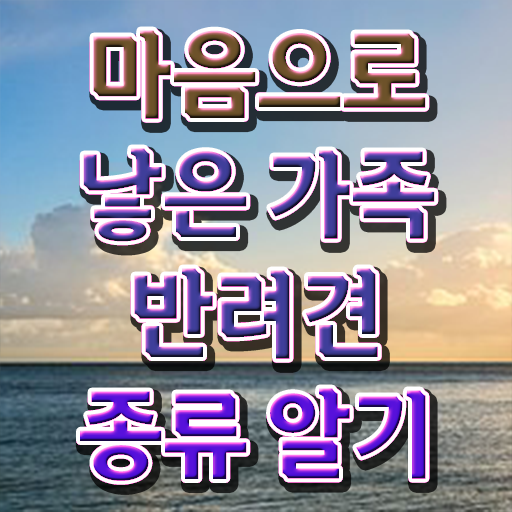 고양이 반려동물 등록 , 반려동물관리사 자격증 온라인 강의 요약해봤어요