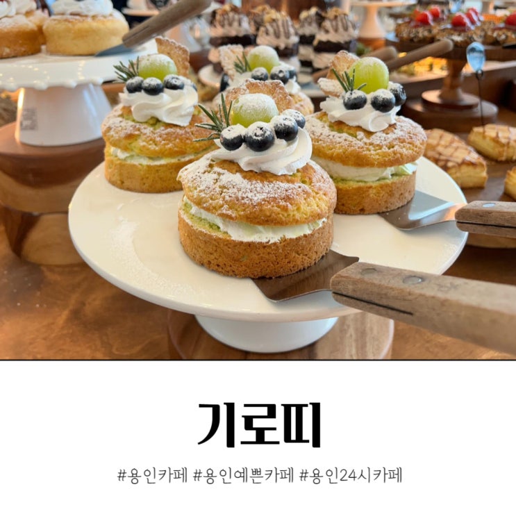  용인 24시카페 기로띠 예쁜케이크 애견동반 가능