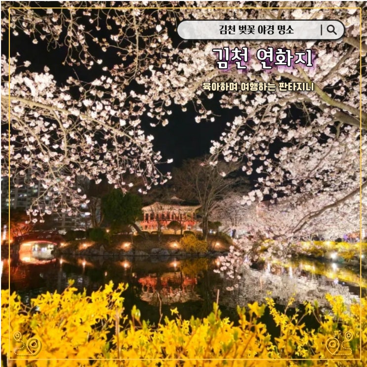  김천 벚꽃 야경명소 연화지 실시간 개화 만개 상황(주차장, 찾아가는 길)