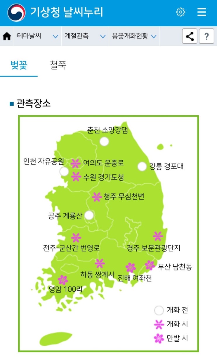  [서울 여의도 실시간 벚꽃 개화 현황/벚꽃 만개 시기] 여의도 벚꽃 개화 실시간으로 확인하는 방법!(feat. 기상청)