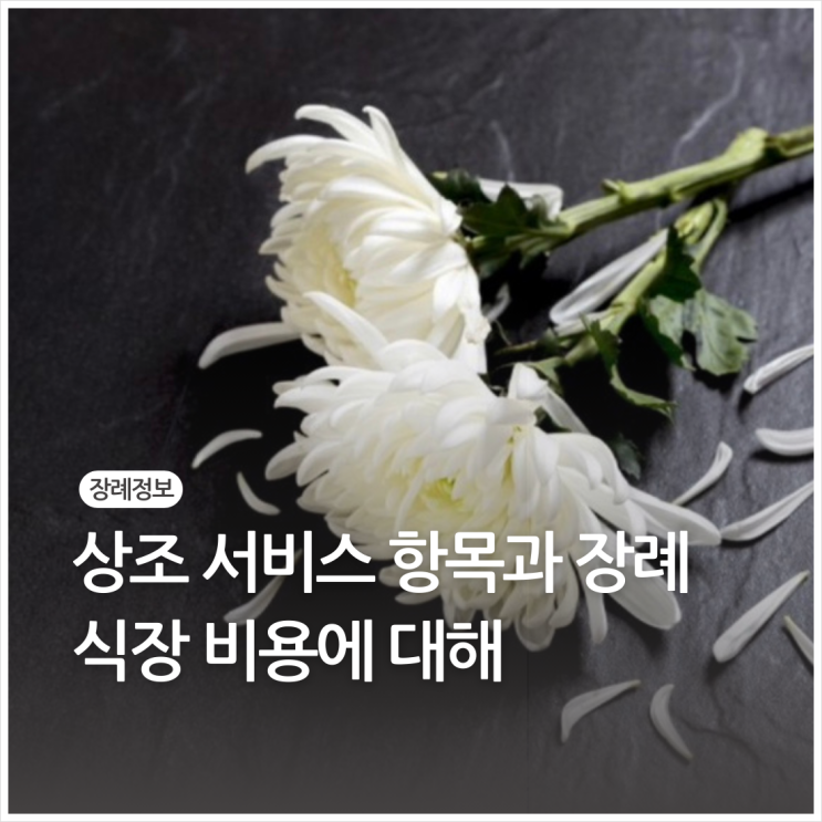  상조 서비스 항목과 장례식장 비용에 대해