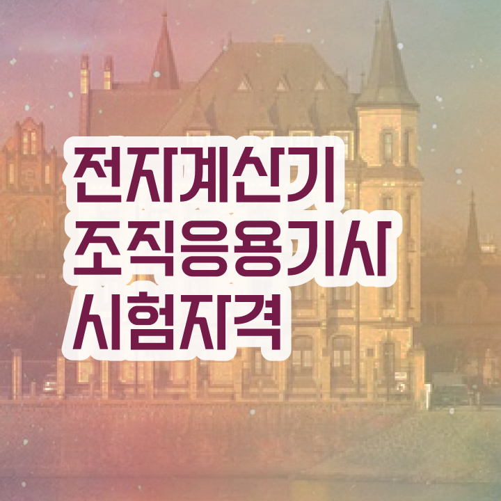  전자계산기조직응용기사 전망 전자계산기조직응용기사 종류 및 취득과정 알려드릴게요