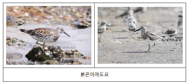 4월의 수산물, 어촌여행지, 해양생물, 등대, 무인도서 선정 4월의 수산물, 어촌여행지, 해양생물, 등대, 무인도서 선정