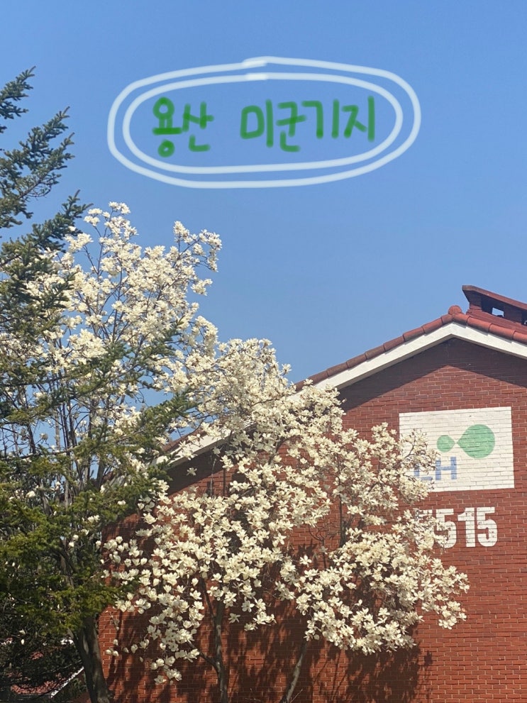  [용산] 미군기지 부분 개방부지, 용산가족공원