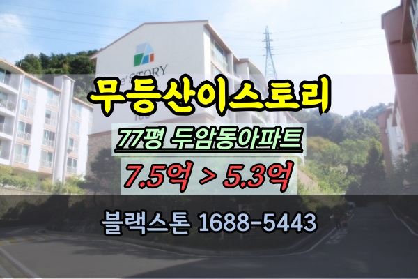 무등산이스토리 77평 경매 광주 북구 두암동아파트 대형평수