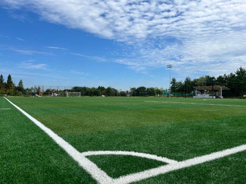 [화성/수원 축구장 리뷰] 큰 구장이 2개, 비봉습지공원축구장