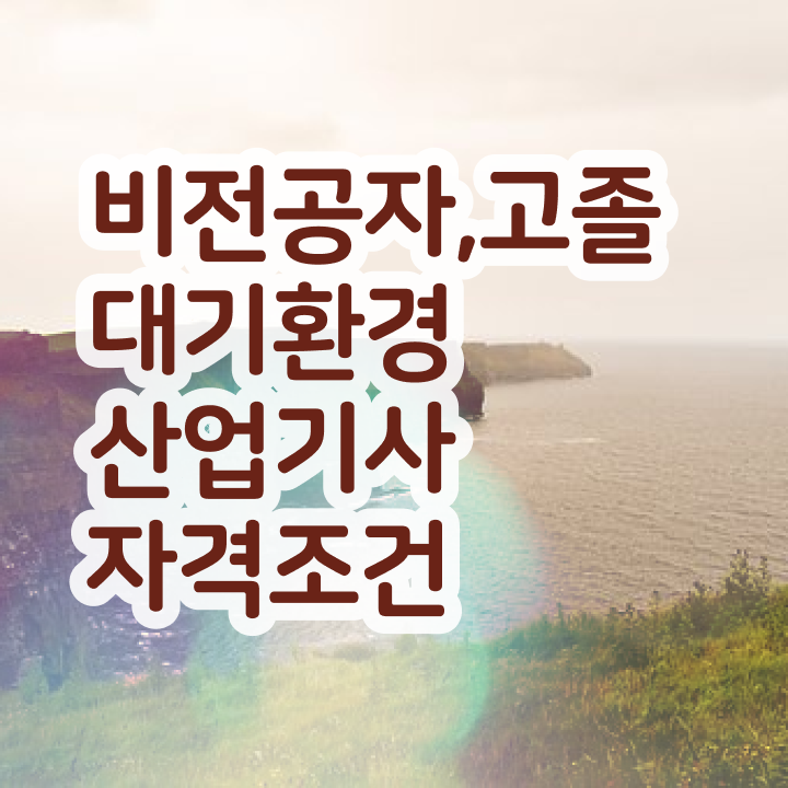  대기환경산업기사 필기문제 대기환경산업기사 자격증 취득 1학기에 끝냈어요