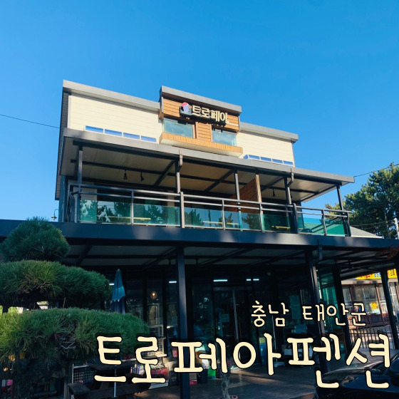  몽산포 해수욕장 갯벌 체험하기 좋은 가성비 숙소 트로페아펜션